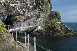 Trekking nel nord dell'irlanda sul sentiero dei The Gobbins, vicino a Larne - © media.ireland.com