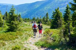 Trekking sulle Montagne dei Giganti in Repubblica Ceca  - © Petr Bonek / Shutterstock.com