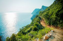 Trekking sull'isola di Siban in Croazia, siamo al largo di Dubrovnik in Dalmazia