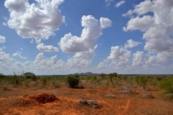 La savana del Parco Nazionale dello Tsavo, in Kenya, con i suoi colori tipici: il rosso della terra, il verde dei cespugli e l'azzurro intenso del cielo.