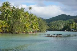 Turisti a cavallo sull'isola di Huahine, sud Pacifico, Polinesia Francese.

