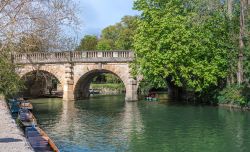 Turisti su una piccola barca nel fiume Cherwell a Oxford, Inghilterra (UK), vicino ai Giardini Botanici e Magdalen Bridge.
