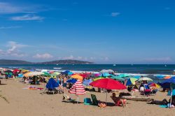 Turisti sulla spiaggia libera di Feniglia a Orbetello in Toscana - © Francesca Cerretani / Shutterstock.com