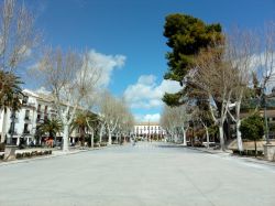 Un bel viale alberato nella città di Baeza, Spagna. Ai lati, antichi palazzi in stile rinascimentale.

