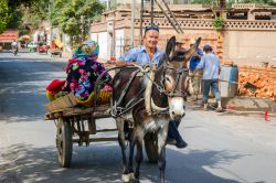 Un carretto trainato da un asino con un uomo  e una donna in una strada di Turpan, Xinjiang, Cina - © dinozzaver / Shutterstock.com