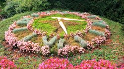 Un colorato orologio di fiori in un giardino di Garmisch-Partenkirchen, Germania.
