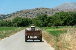 Un contadino con trattore e carretto nella pianura di Lassithi, isola di Creta (Grecia).

