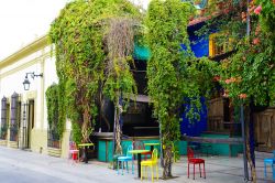 Un grazioso angolo della città di Monterrey, Messico: un edificio ricoperto da piante rampicanti e sedie colorate lungo la strada.
