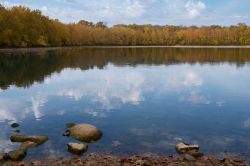 Un lago con foliage autunnale nei pressi di Indianapolis, Indiana.
