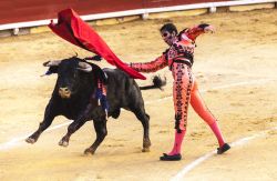 Un momento della corrida spagnola nell'arena di Vinaros, Spagna - © mcherevan / Shutterstock.com