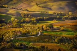Un paesaggio bucolico sulla campagna di Montepulciano, Toscana, Italia. Una bella immagine scattata dall'alto della città con i colori autunnali.


