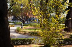 Un parco di Martina Franca, Puglia, in una giornata autunnale.
