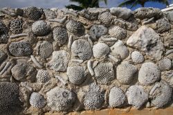 Un particolare della spiaggia messicana di Akumal, Riviera Maya, famosa per le tartarughe.

