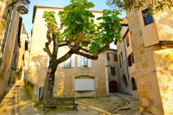 Un pittoresco scorcio nel centro storico di Bergerac (Francia): una piazzetta con panchina e un grande albero.
