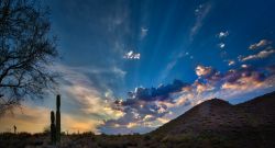 Un pittoresco tramonto a Scottsdale, Arizona (USA), con la silhouette dei cactus.



