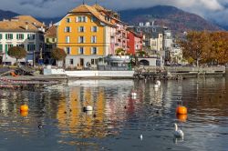 Un suggestico scorcio di Vevey affacciata sul lago di Ginevra in autunno, Svizzera - © stoyanh / Shutterstock.com