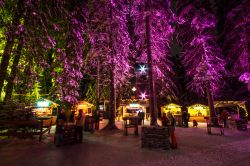 Un suggestivo bar allestito nella foresta di Lenzerheide, Svizzera. Siamo nel periodo dell'Avvento.

