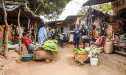 Un tipico mercato rurale di prodotti freschi a Lilongwe, Malawi - © Andrea Willmore / Shutterstock.com