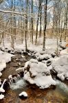 Un torrente del PArco Nazionale delle Foreste Casentinesi, zona del Monte Falco, Romagna