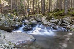 Un torrente nei boschi che circondano l'Abetone in Toscana