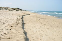 Un tratto del litorale di Marina di Sorso, Sardegna: questa cittadina a pochi chilometri da Sassari ha una spiaggia con fondo sabbioso che digrada rapidamente.
