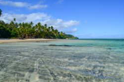 Un tratto di Coral Coast sull'isola di Viti Levu, Figi. Spiagge bianche, baie riparate, palme e mare cristallino caratterizzano i circa 80 km di questo litorale della costa orientale.
