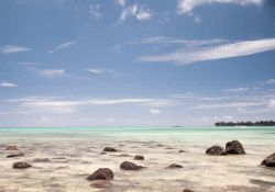 Un tratto di spiaggia rocciosa a Mont Choisy, Mauritius (Africa) - © Arisha Singh / Shutterstock.com