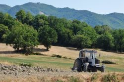 Un trattore al lavoro nei campi vicino a Pennabilli, Emilia Romagna - © Denis.Vostrikov / Shutterstock.com
