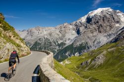 Un uomo in bicicletta sul Passo dello Stelvio, Lombardia/Trentino Alto Adige. Importante collegamento estivo per la sua grande vocazione turistica, il Passo dello Stelvio è anche meta ...