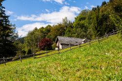 Una baita nella Val Vigezzo vicino a Craveggia