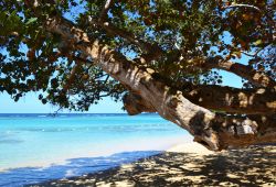 Una bella spiaggia assolata a Ocho Rios, Giamaica. Conosciuta anche con il nome di Ochie, questa località si trova nella parrocchia di Saint Ann, nel nord dell'isola. A chiamarla ...