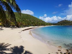Una bella spiaggia caraibica a Peter Island, Isole Vergini Britanniche - © Frank Lervik / Shutterstock.com