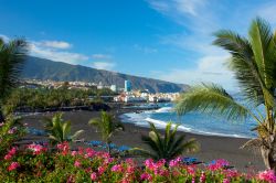 Una bella veduta di Playa Jardin a Puerto de la Cruz, Tenerife, Spagna.
