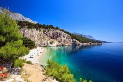 Una bellissima spiaggia della Dalmazia, con sabbie bianche, rocce, macchia mediterranea e il mare turchese della Croazia