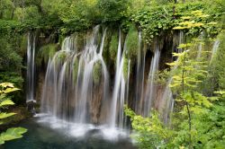 Una cascata a Gornja jezera) tra i laghi del Parco Nazionale di Plitvice nel centro della Croazia