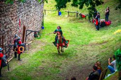 Una cavallerizza in costume medievale al carnevale di Chatenois, Francia - © bonzodog / Shutterstock.com