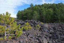 Una colata di lava sulle pendici dell'Etna vicino a Biancavilla (Sicilia).