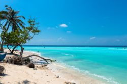 Una delle spiagge dell'isola di Maafushi alle Maldive fotografata in inverno