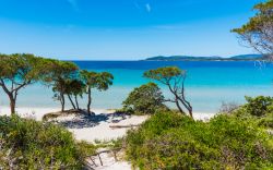 Una delle spiagge più belle di Alghero: Maria Pia beach in Sardegna, con sabbie bianche e acque turchesi.