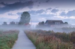 Una fattoria olandese, nella campagna della Drenthe, in una giornata di fitta nebbia. Il territorio pianeggiante della Drenthe consiste principalmente in terra incolta utilizzata per l'allevamento.

 ...