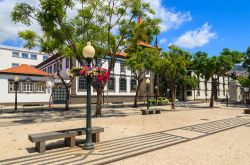 Una giornata di sole a Funchal, Madeira. Il clima sull'isola è mite tutto l'anno e anche in estate difficilmente si superano i 30°C.