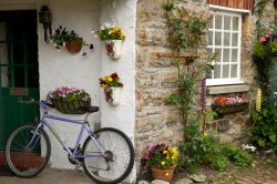 Una graziosa casetta sull'isola di Lindisfarne (Inghilterra) con fiori, piante e una bicicletta - © Reimar / Shutterstock.com