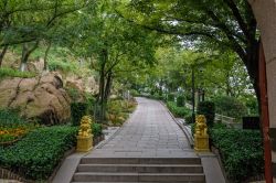 Una graziosa passeggiata immersa nella natura nella cittadina di Qingdao, Cina.



