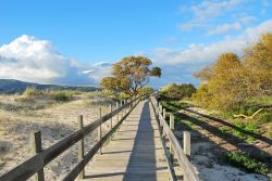 Una passerella in legno per raggiungere la spiaggia a Troia, Portogallo. Sia in inverno che in estate, il clima mite permette di trascorrere piacevoli giornate in spiaggia: con il mare di fronte ...