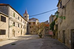 Una piazzetta nel centro antico di Pirovac (Slosella) con una pianta fiorita, Croazia.



