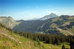 Una pittoresca veduta delle Alpi francesi nei pressi della cittadina di Morzine, Francia. In estate qui si possono effettuare escursioni in montagna a piedi o in mountain bike o ancora praticare ...