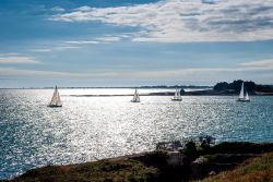 Una regata di barche a vela a Carnac, Francia, al calar del sole.

