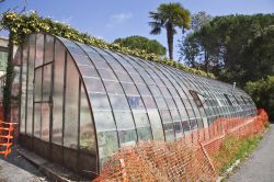 Una serra per la floricoltura a Sanremo - Sanremo, splendida cittadina marinara della costa occidentale ligure, è conosciuta principalmente per essere la sede del Festival della Canzone ...