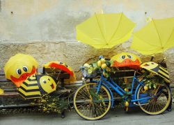 Una simpatica installazione alla Sagra del limone di Monterosso al Mare: siamo nelle Cinqueterre, in uno dei borghi più belli della Liguria - @ Pro Loco Monterosso