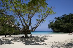 Una spiaggia a Port Antonio, Giamaica. Il mare con le sue increspature e i fondali mozzafiato rendono questa terra meta prediletta per gli appassionati di immersioni e snorkeling.
